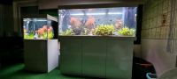 2 Juwel Aquarien Baden-Württemberg - Freiamt Vorschau