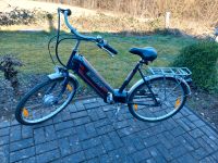 E-Bike Elektrofahrrad Pedelec wie NEU Prophete 25 km/h Rheinland-Pfalz - Altlay Vorschau