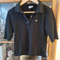 Lacoste Poloshirt Gr.38-40 Baden-Württemberg - Asperg Vorschau