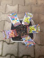 Biete 5 Pokemon Obsidian Flammen Booster Suche 25kg Vogelfutter Thüringen - Ebeleben Vorschau