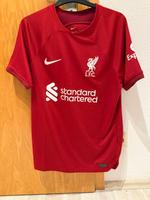 Nike Liverpool Trikot Darwin N. 27 - Größe S Baden-Württemberg - Kirchheim unter Teck Vorschau