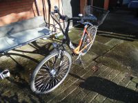 Damenfahrrad Pegasus Milano Varius Speed 28 Zoll Niedersachsen - Hesel Vorschau