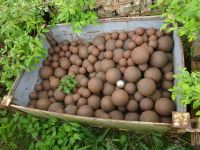 Eisenkugeln 729 kg Vollmaterial Deko Garten Bayern - Schwarzenbach am Wald Vorschau