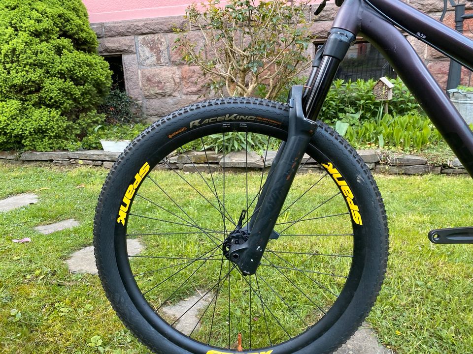 NS Bikes Decade V2 Custom Rockshox Chris King Spank Dirt Jump in Lennestadt