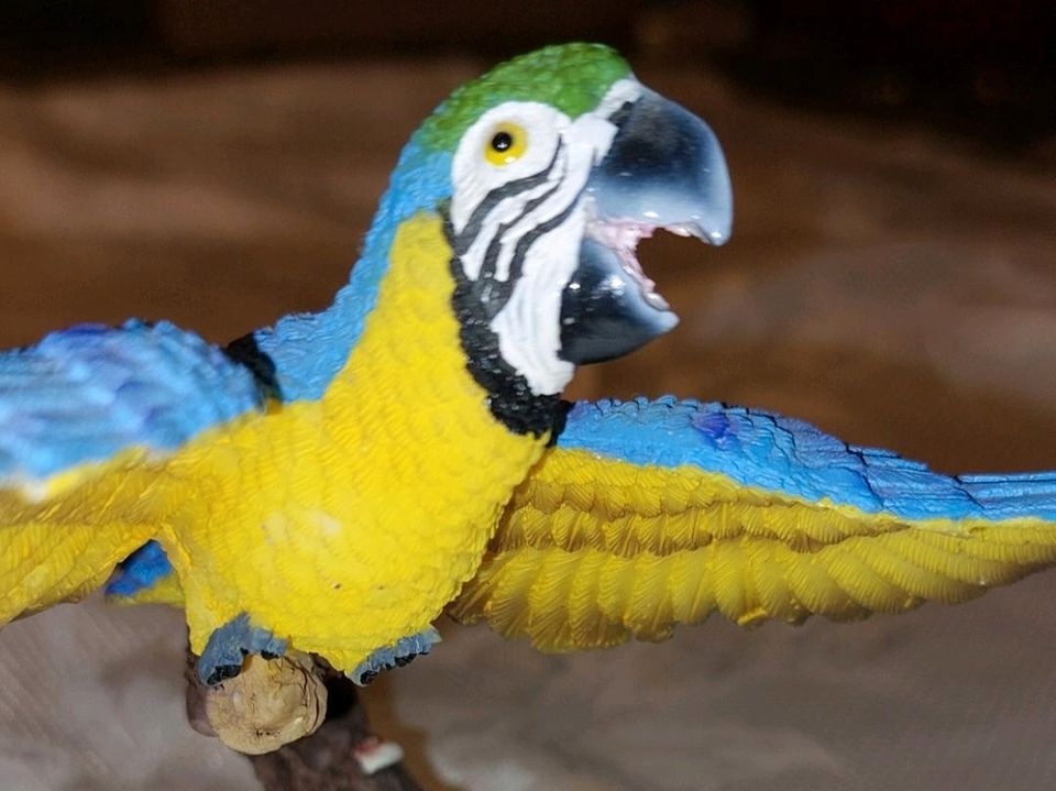 Wunderschöner blauer Papagei Ara im Flug in Pfarrkirchen