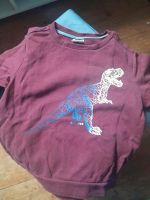 Dinosaurier  Pullover Bayern - Laufen Vorschau