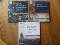3 mp3 Hörbücher von Theodor Fontane Niedersachsen - Dassel Vorschau