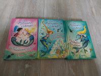 Das Meermädcheninternat Meerjungfrau Kinderbuch Dresden - Johannstadt Vorschau