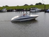 Sportboot Campion allante 535 vri V6 mit Trailer Niedersachsen - Winsen (Luhe) Vorschau