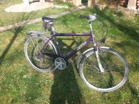 Epple Cross Cat, 28"/ Zoll, Herrenfahrrad, Trekkingfahrrad Bayern - Roth Vorschau