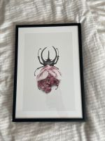 Flower Bug Poster/Wandbild inkl. Rahmen Niedersachsen - Schwaförden Vorschau