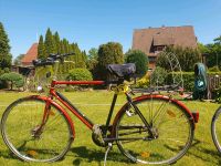 Herrenfahrrad Nordrhein-Westfalen - Petershagen Vorschau