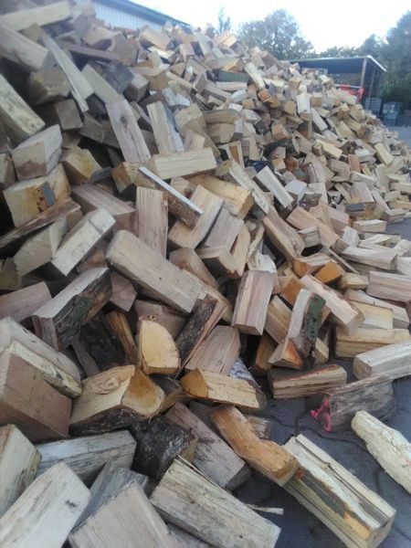 Brennholz zu verkaufen in Geestland