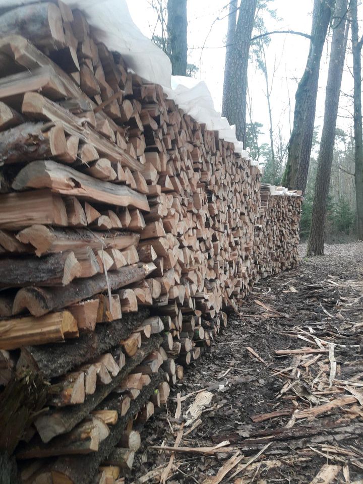 Brennholz zu verkaufen in Wieseth