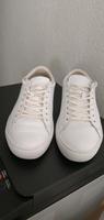 Freizeitschuhe Lacoste Nordrhein-Westfalen - Sankt Augustin Vorschau