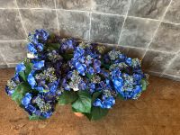 Dekopflanze / Kunstblume Hortensie Blue gebraucht 5 Stück Nordrhein-Westfalen - Stolberg (Rhld) Vorschau