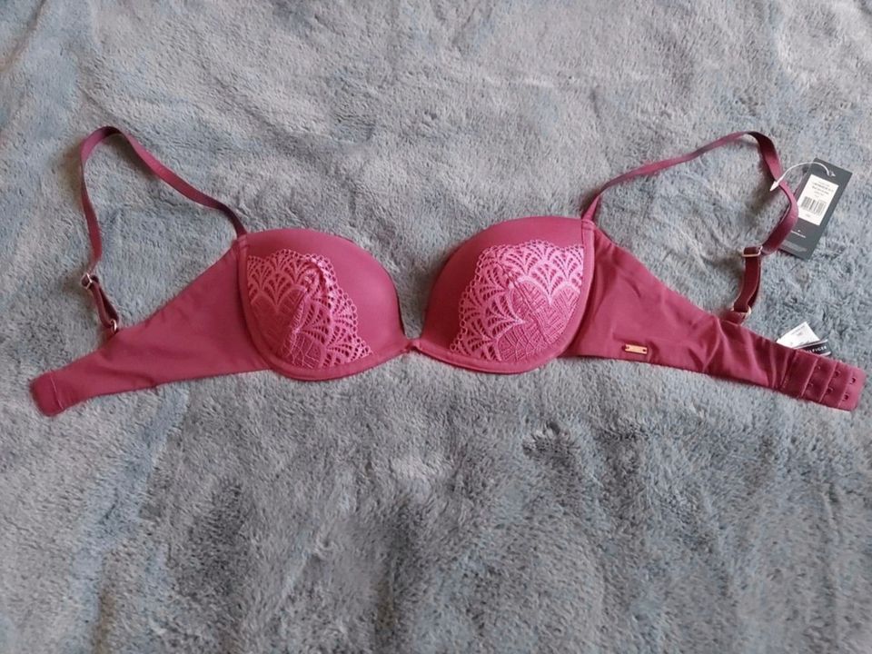 Neu** TOMMY HILFIGER Push up BH Beerenton Gr. 70 C in Bayern