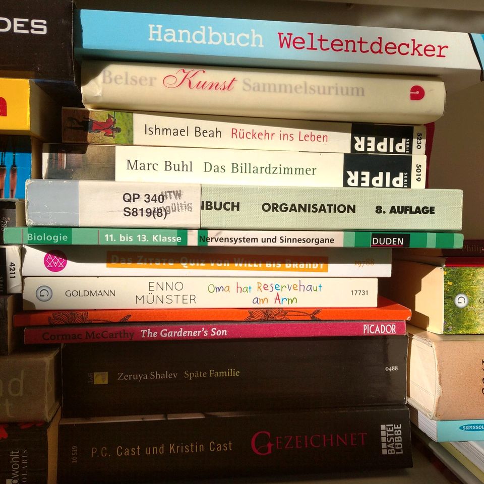 Büchersammlung Romane Diverse ua. Jojo Moyes Lucy Dillon in Berlin