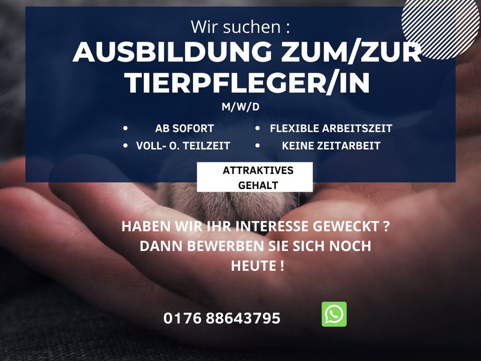 Ausbildung zum/zur Tierpfleger/in (m/w/d) in Berlin