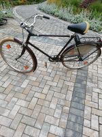 Fahrrad 28 zoll Ariston Hollandrad 3 gang Rheinland-Pfalz - Altenkirchen Vorschau