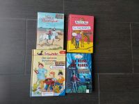 Merle & Max, Leserabe, Kinderbücher, Pferdebücher je 1,50 Bayern - Neustadt am Kulm Vorschau