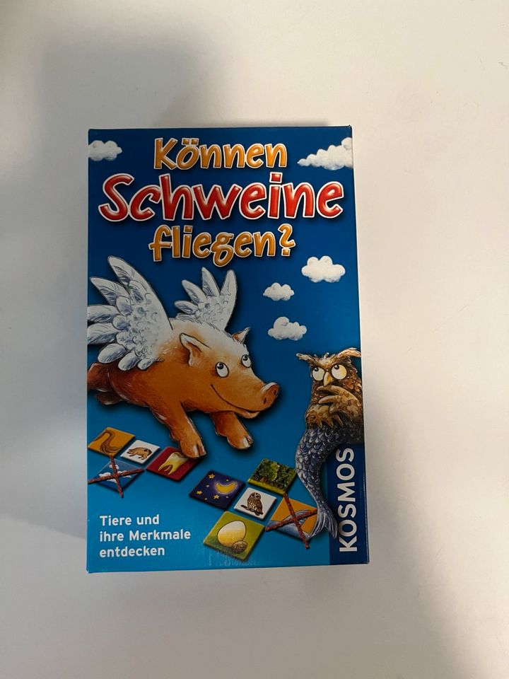 Können Schweine fliegen? in Harrislee