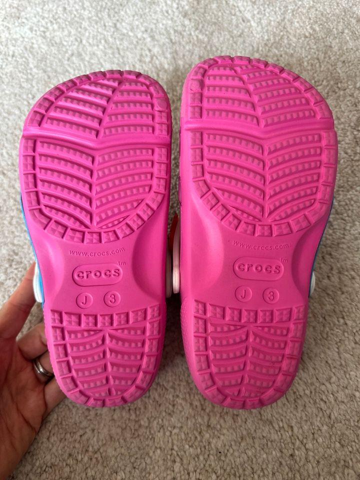 Crocs Paw Patrol Rosa Pink Jibbitz 32 33 34 35 in Hofheim am Taunus