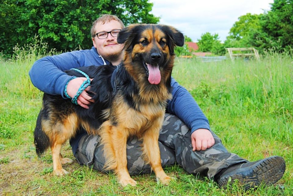 Hundemann Sammy sucht ein erfahrenes Zuhause in Wittstock/Dosse