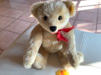 Steiff Teddy rar , 43 cm Niedersachsen - Auetal Vorschau