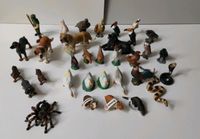 Schleich Tiere Köln - Porz Vorschau