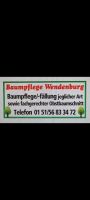 Baumpflege, Baumfällung, Baum fällen, Sturmschadenbeseidigung Thüringen - Meuselwitz Vorschau