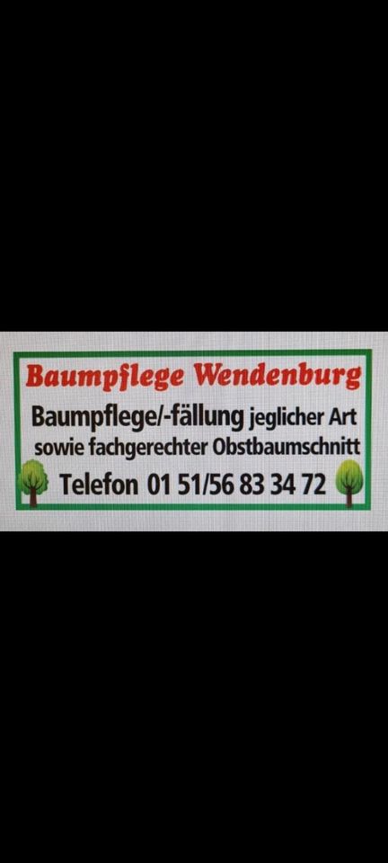 Baumpflege, Baumfällung, Baum fällen, Sturmschadenbeseidigung in Meuselwitz