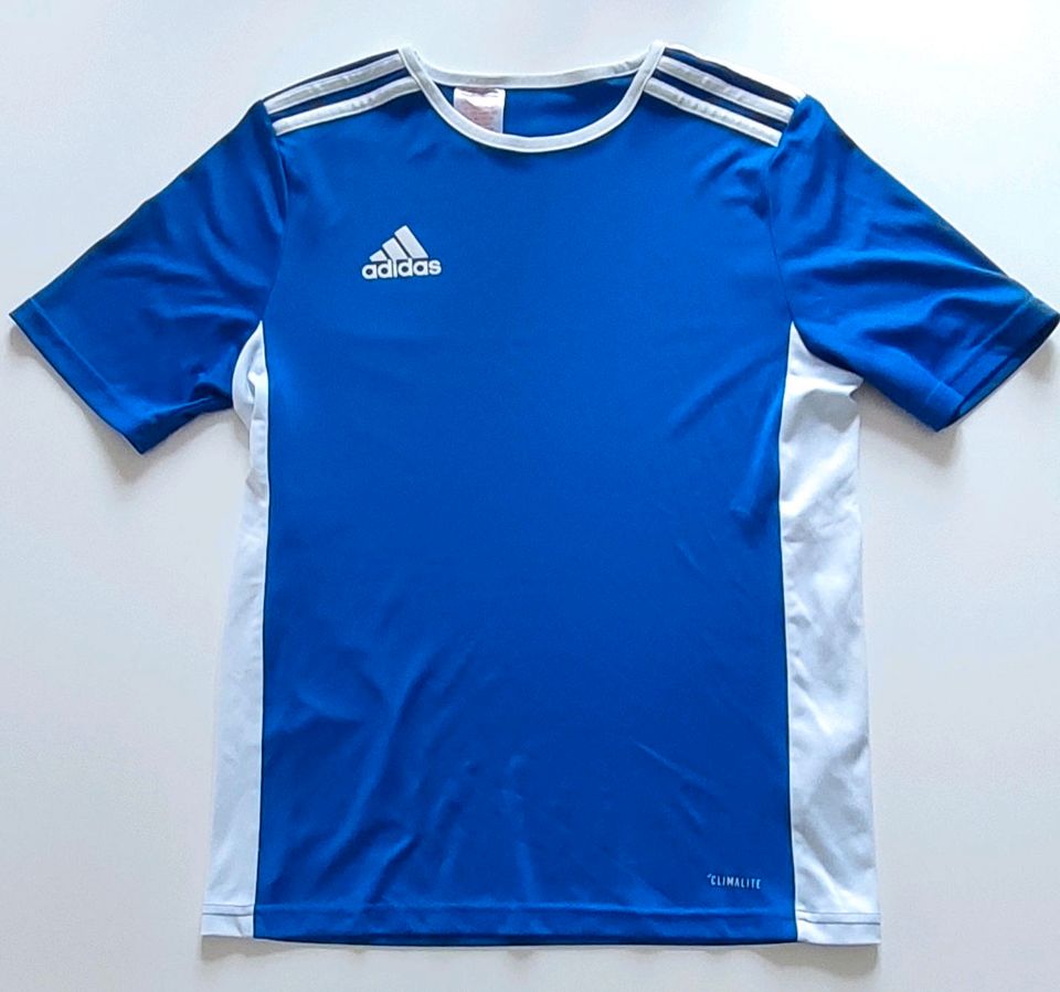 Sportshirt Blau Original adidas Größe S Atmungsaktiv in Hohen Neuendorf