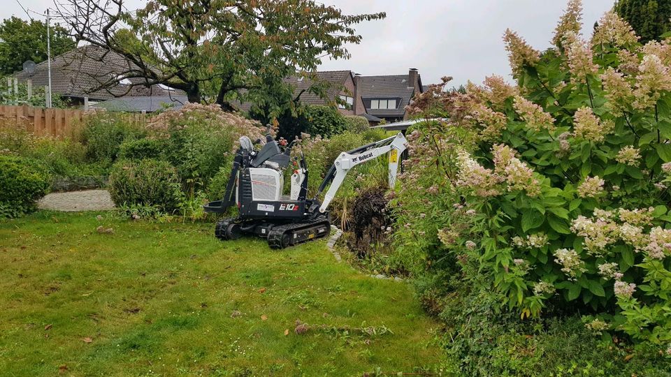 Sträucher schneiden Hecke Garten Weißdorn liguster Lorbeerschnitt in Goch