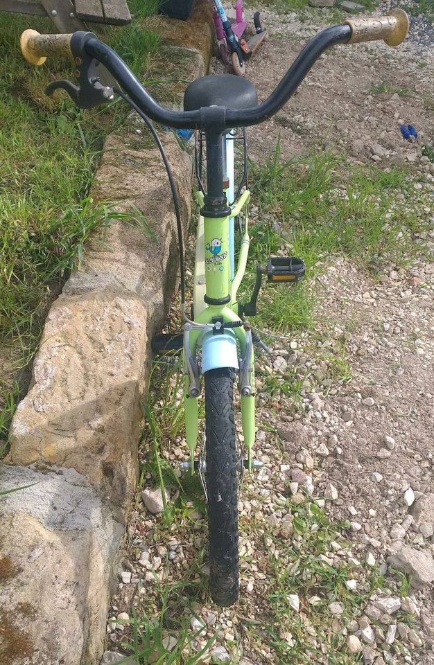 Kinderfahrrad Erlkönig 18 Zoll in Hirschaid