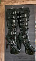 Pleaser Delight High Heels Stiefel NEU 41/42 Niedersachsen - Wolfsburg Vorschau