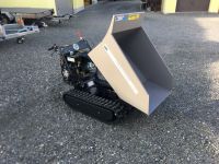 Dumper Minidumper 600 kg zu vermieten leihen Verleih SK-Colours Bayern - Neudrossenfeld Vorschau