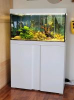 Aquarium mit Unterschrank 126 L Nordrhein-Westfalen - Hille Vorschau
