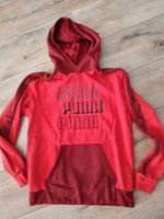 Puma Hoodie gr176 top Nordrhein-Westfalen - Lünen Vorschau