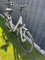 Fahrrad Bike Raleigh Unico life 55cm Niedersachsen - Bergen Vorschau