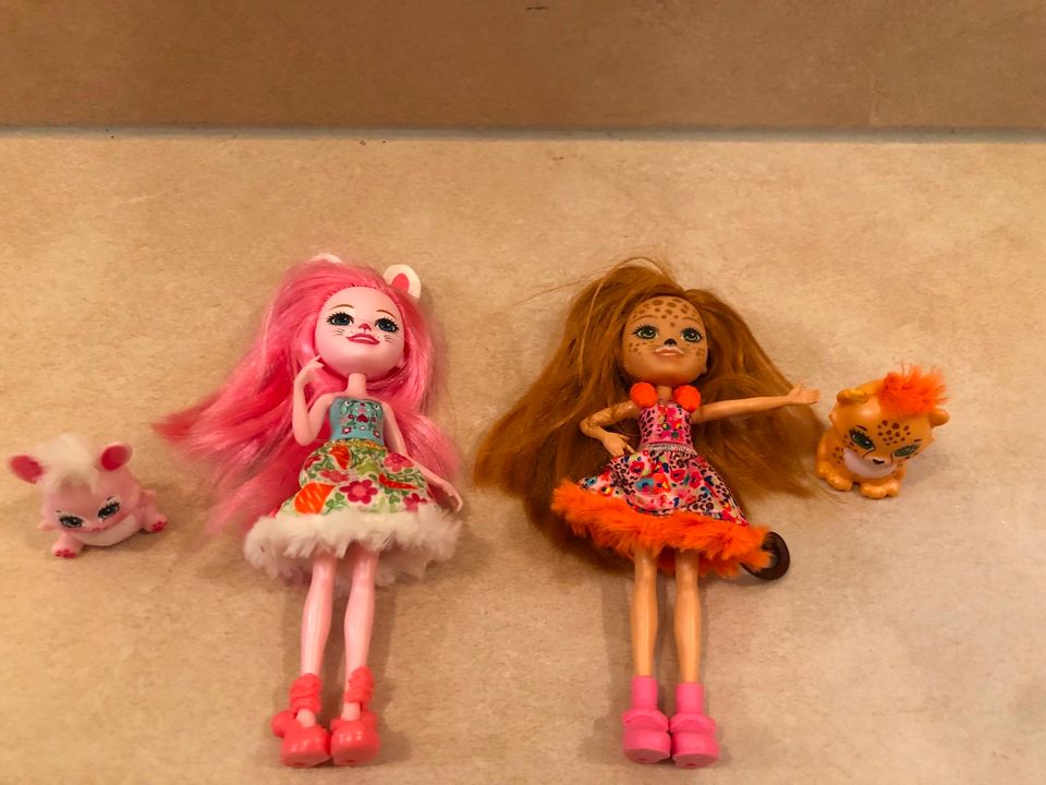 Enchantimals Puppe mit Tier Barbie in Kreis Ostholstein - Grömitz | Barbie  Spielzeug gebraucht kaufen | eBay Kleinanzeigen ist jetzt Kleinanzeigen