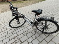 Pegasus Fahrrad Thüringen - Saale-Holzland-Kreis Vorschau