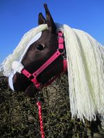 Hobby Horse - blonde Schönheit! Hobbyhorse / Steckenpferd Bayern - Gebsattel Vorschau