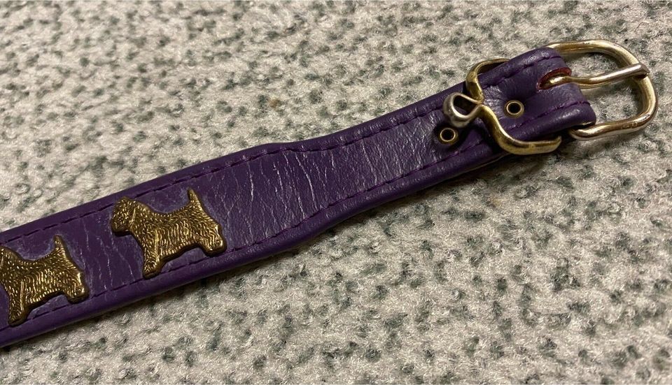 Hundehalsband Halsband Westi lila Leder in Langgöns