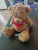 Plüsch Teddybär zu verkaufen Sachsen-Anhalt - Naumburg (Saale) Vorschau