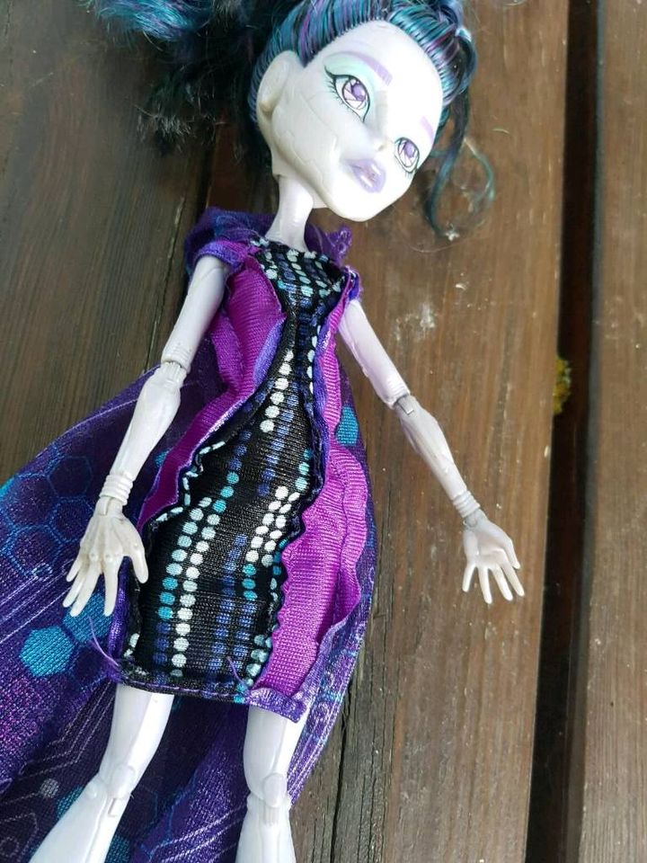 Monster High Puppe Elle Eedee Boo York Mattel 2014 in Coswig (Anhalt)