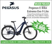 E-Bike Pegasus Estremo Evo 9 Lite Trapez Pinion 700 WH 9 Gang Niedersachsen - Ostrhauderfehn Vorschau