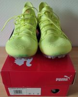 Puma Spikes evoSPEED NETFIT Sprint 2, Gr. 40,5 Nordrhein-Westfalen - Troisdorf Vorschau