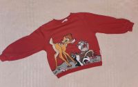 Süsses Sweatshirt "Bambi" Gr. 110/116 Hansestadt Demmin - Stavenhagen Vorschau