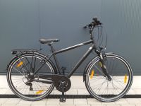 PEGASUS Piazza 21 Herren Cityfahrrad 28" Rh: 50,55,60 cm Nordrhein-Westfalen - Dorsten Vorschau